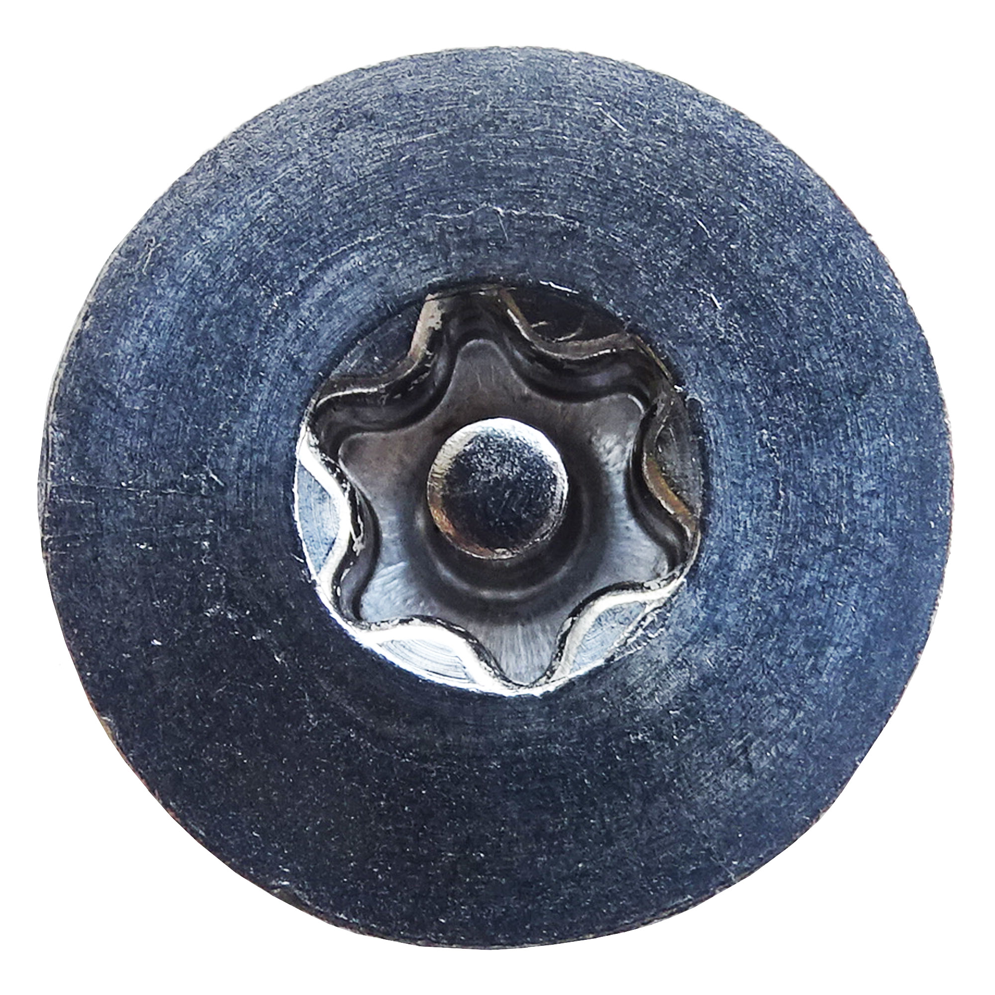 Pin-Torx Screw Head
