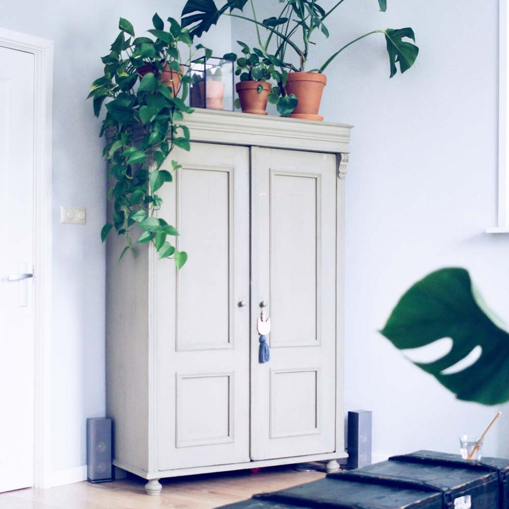 Example wardrobe thumbnail